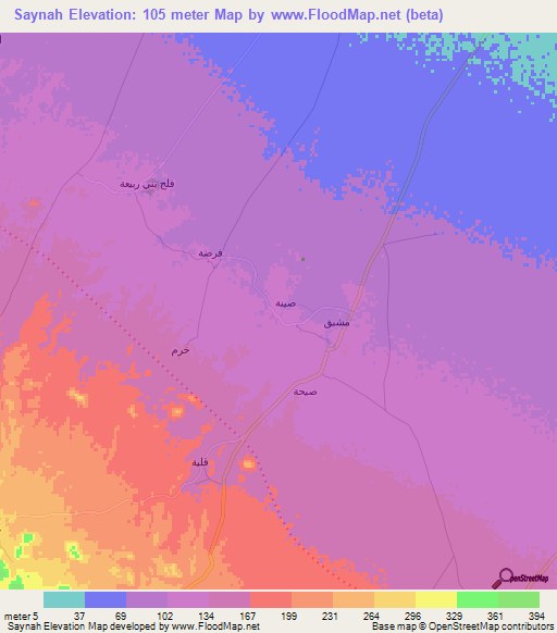 Saynah,Oman Elevation Map