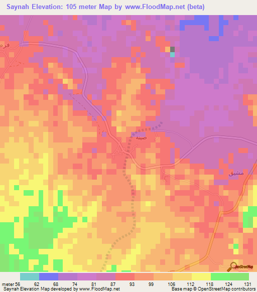 Saynah,Oman Elevation Map