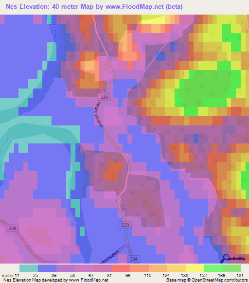 Nes,Norway Elevation Map