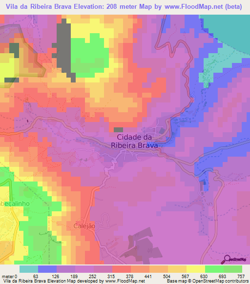 Vila da Ribeira Brava,Cape Verde Elevation Map