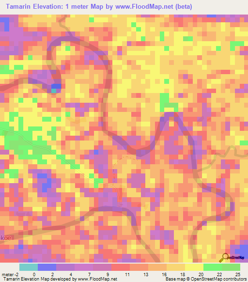 Tamarin,Suriname Elevation Map