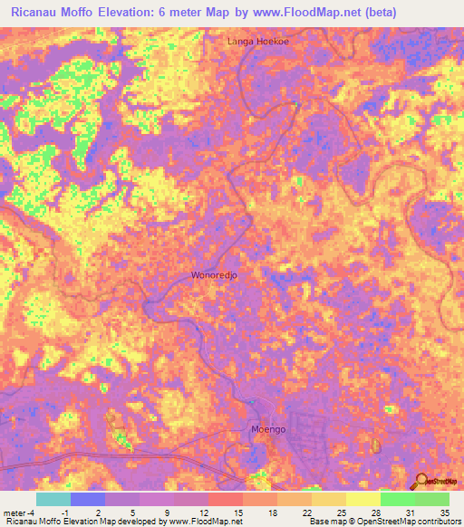 Ricanau Moffo,Suriname Elevation Map