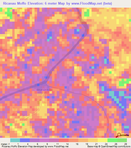 Ricanau Moffo,Suriname Elevation Map