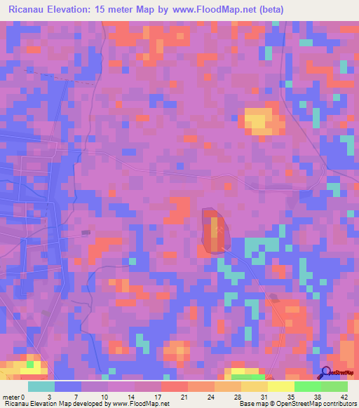 Ricanau,Suriname Elevation Map