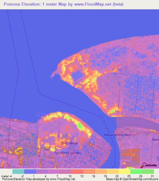 Pomona,Suriname Elevation Map