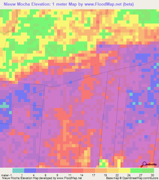 Nieuw Mocha,Suriname Elevation Map