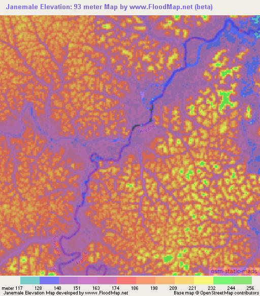 Janemale,Suriname Elevation Map