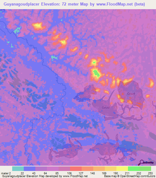 Guyanagoudplacer,Suriname Elevation Map