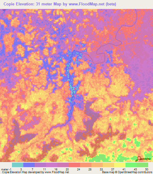 Copie,Suriname Elevation Map