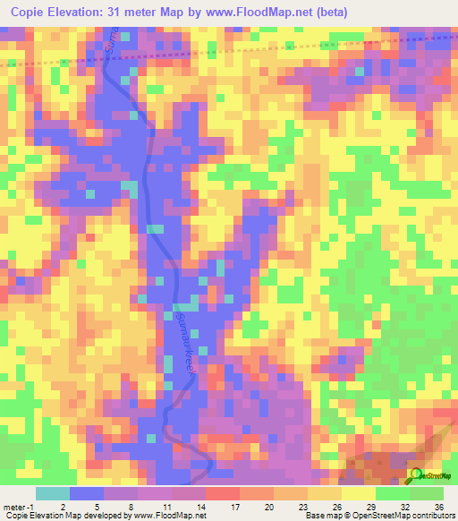 Copie,Suriname Elevation Map