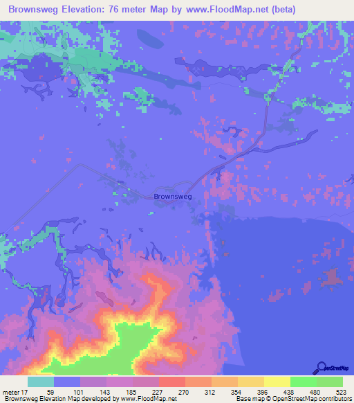 Brownsweg,Suriname Elevation Map