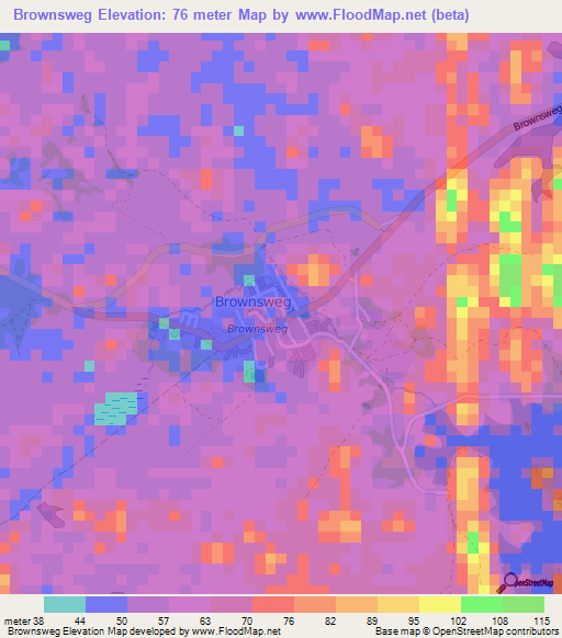 Brownsweg,Suriname Elevation Map