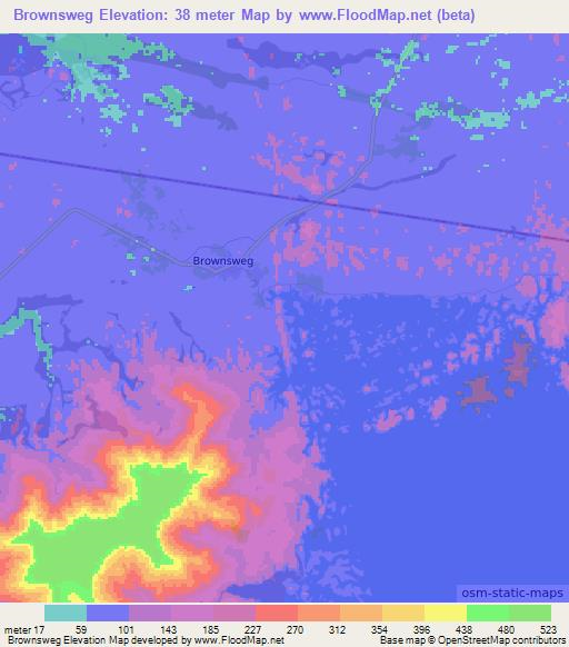 Brownsweg,Suriname Elevation Map