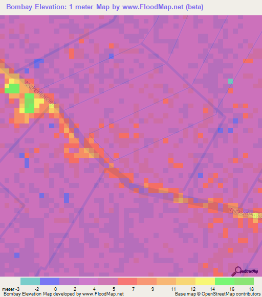 Bombay,Suriname Elevation Map