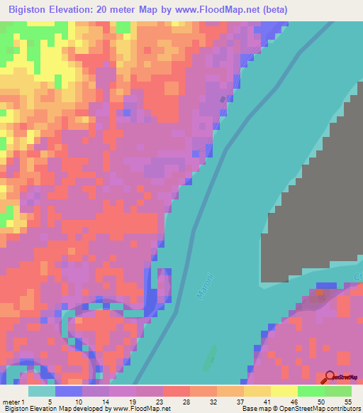 Bigiston,Suriname Elevation Map