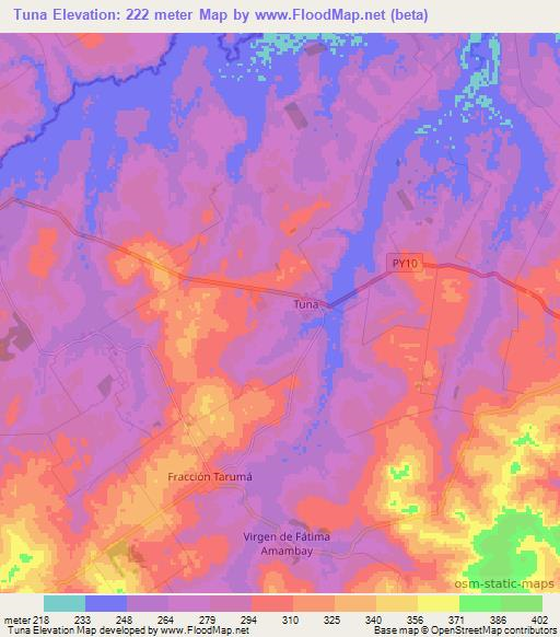 Tuna,Paraguay Elevation Map