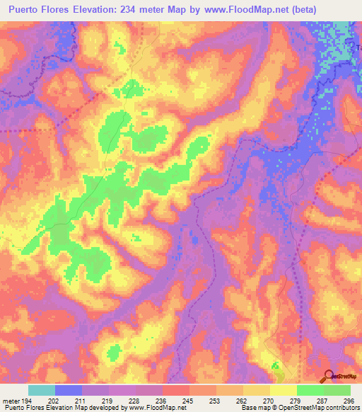 Puerto Flores,Paraguay Elevation Map