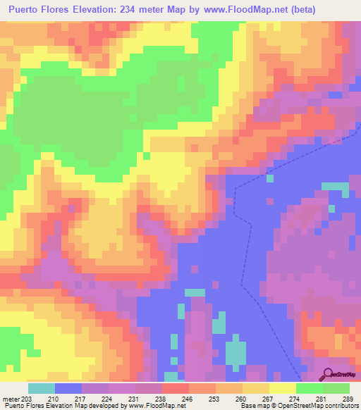 Puerto Flores,Paraguay Elevation Map