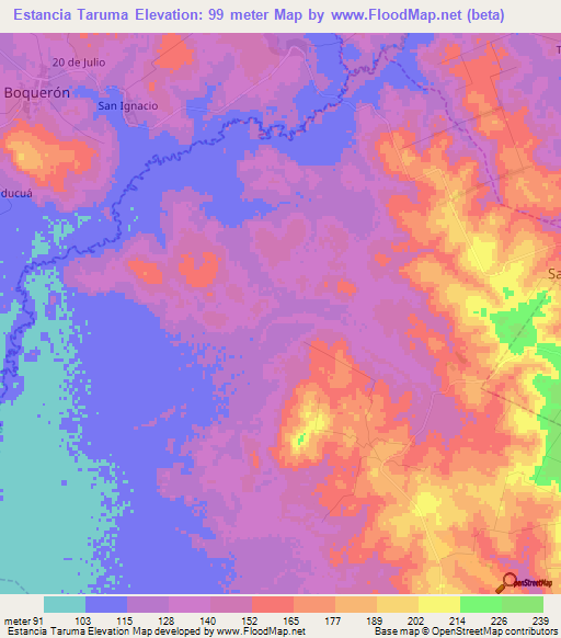 Estancia Taruma,Paraguay Elevation Map