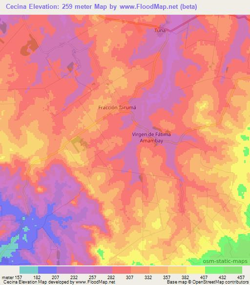 Cecina,Paraguay Elevation Map