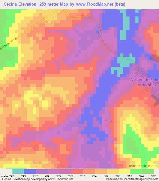 Cecina,Paraguay Elevation Map