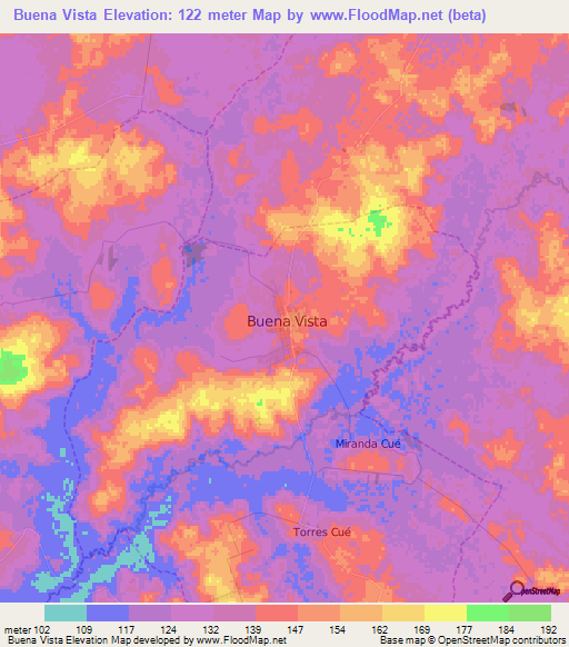 Buena Vista,Paraguay Elevation Map