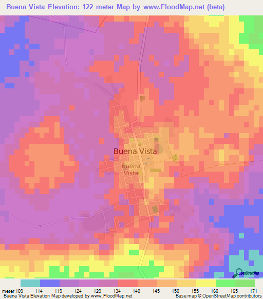 Buena Vista,Paraguay Elevation Map