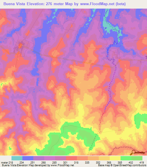 Buena Vista,Paraguay Elevation Map