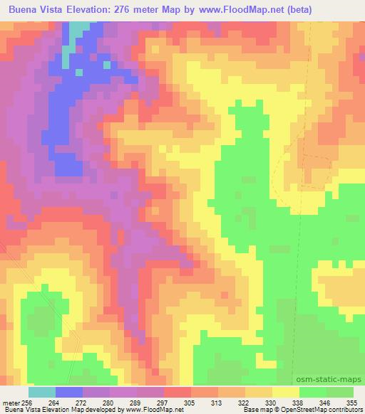 Buena Vista,Paraguay Elevation Map