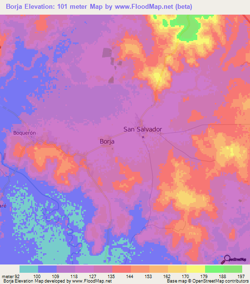 Borja,Paraguay Elevation Map