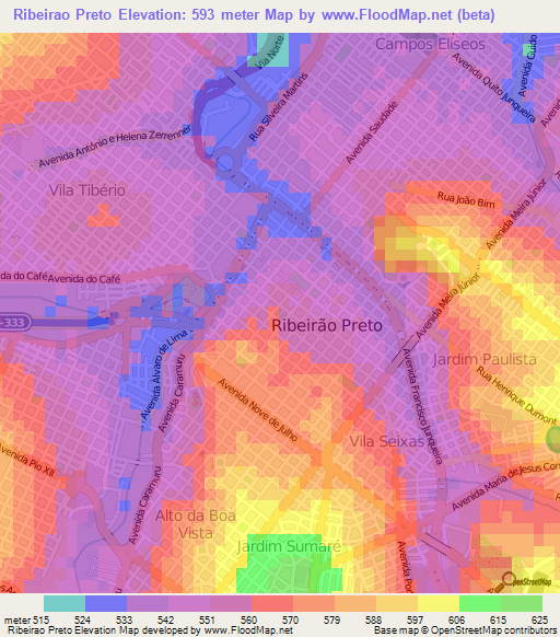 Ribeirao Preto,Brazil Elevation Map