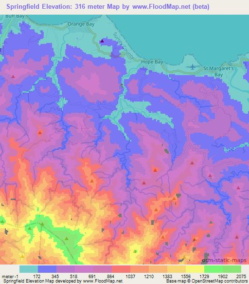 Springfield,Jamaica Elevation Map