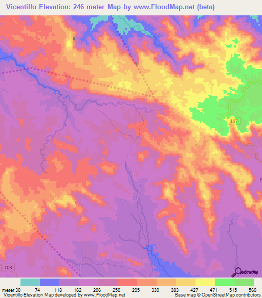 Vicentillo,Dominican Republic Elevation Map