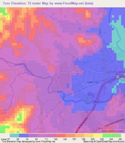 Toro,Dominican Republic Elevation Map