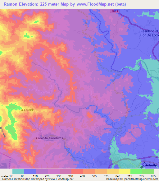 Ramon,Dominican Republic Elevation Map