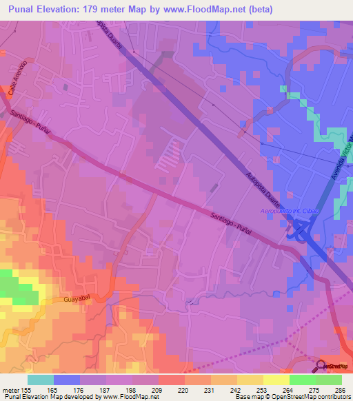 Punal,Dominican Republic Elevation Map