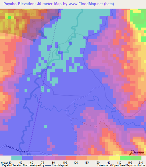 Payabo,Dominican Republic Elevation Map