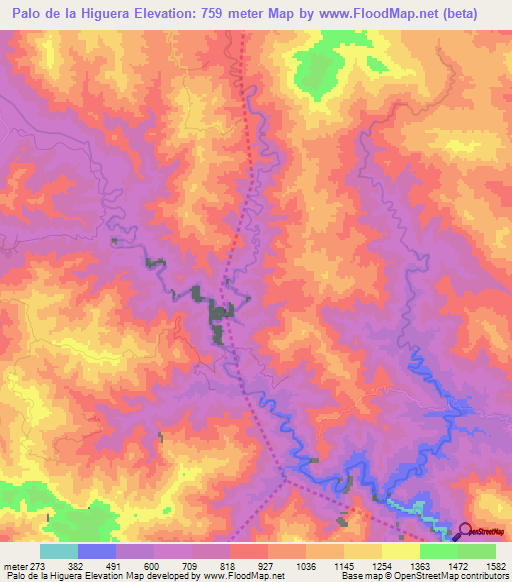 Palo de la Higuera,Dominican Republic Elevation Map