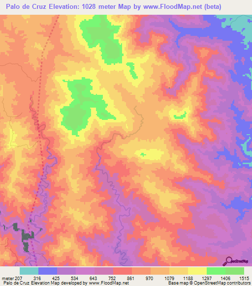 Palo de Cruz,Dominican Republic Elevation Map