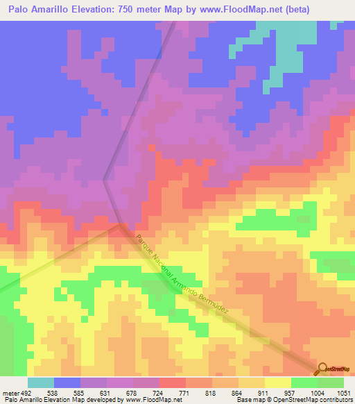 Palo Amarillo,Dominican Republic Elevation Map