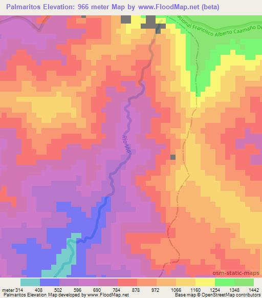 Palmaritos,Dominican Republic Elevation Map