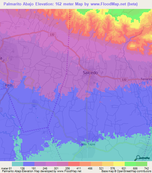 Palmarito Abajo,Dominican Republic Elevation Map