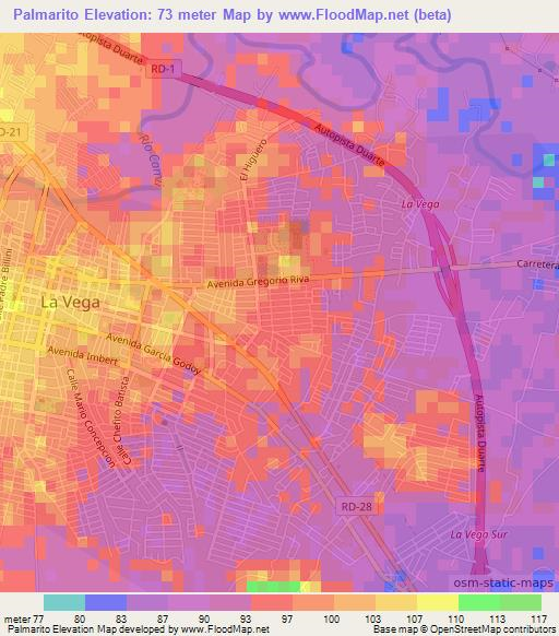Palmarito,Dominican Republic Elevation Map