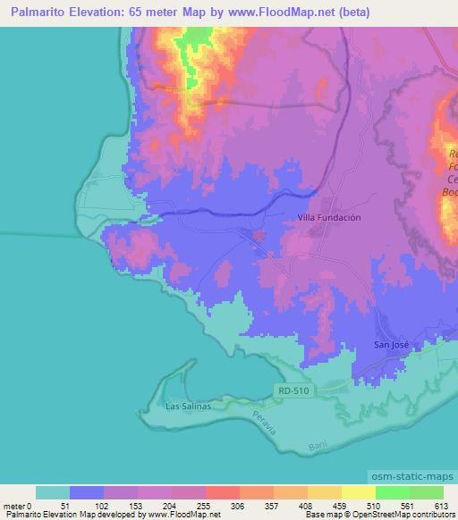 Palmarito,Dominican Republic Elevation Map