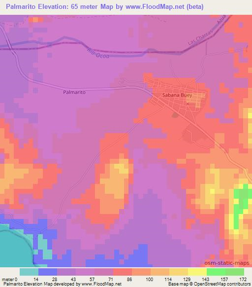 Palmarito,Dominican Republic Elevation Map