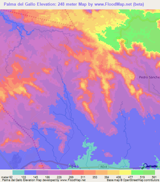 Palma del Gallo,Dominican Republic Elevation Map