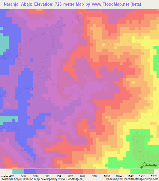 Naranjal Abajo,Dominican Republic Elevation Map