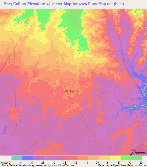 Mata Gallina,Dominican Republic Elevation Map