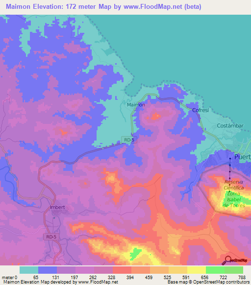 Maimon,Dominican Republic Elevation Map