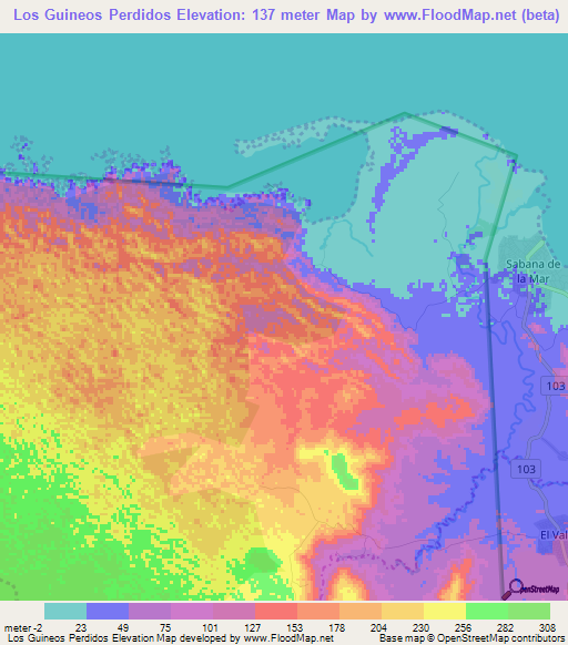 Los Guineos Perdidos,Dominican Republic Elevation Map